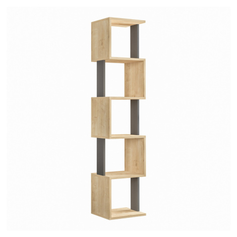 Knižnica Piri Sonoma Oak