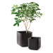 KETER Kvetináč BRICK PLANTER ML | hnedá