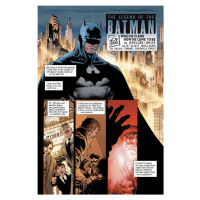 DC Comics Batman: Hush DC Compact Comics Edition