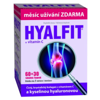 HYALFIT + vitamín C 90 kapsúl