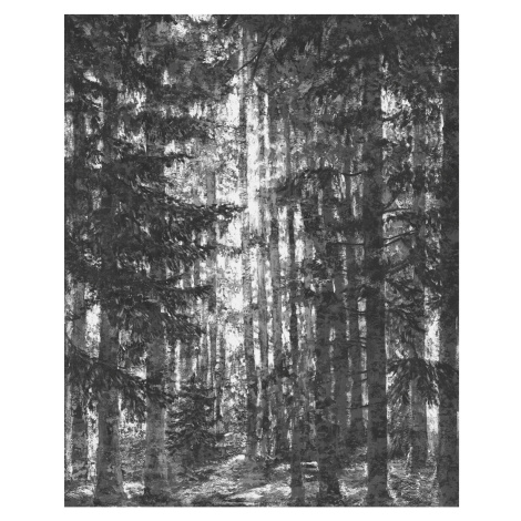 Komar Vliesová fototapeta Lustres Lapland, 200 x 250 cm