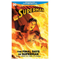 DC Comics Superman: The Final Days of Superman (Rebirth)