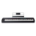 M-AUDIO Hammer 88 Pro MIDI klávesový nástroj 88 klíče/klíčů USB Černá, IKLMDUMID0002