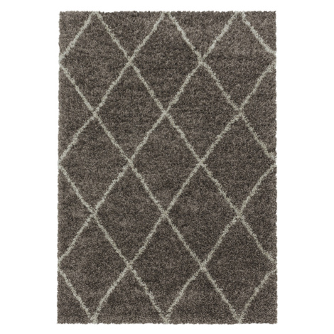 Kusový koberec Alvor Shaggy 3401 taupe Rozmery koberca: 120x170