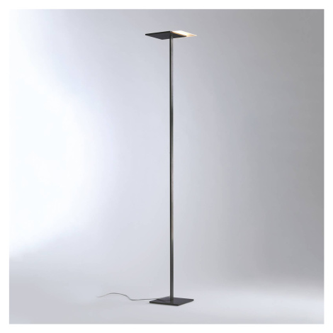 Bopp Flat stojaca LED lampa, stmievač antracit