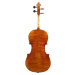 Violin Rácz Viola Concert 16