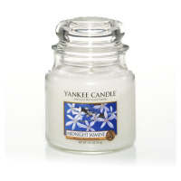 YANKEE CANDLE 1129551E SVIECKA MIDNIGHT JASMINE/STREDNA