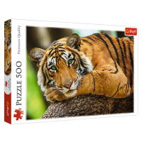 Trefl Puzzle 500 - Portrét tigra