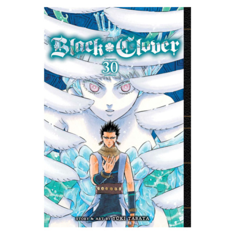 Viz Media Black Clover 30