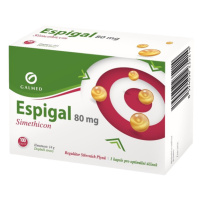 GALMED Espigal 80 mg 100 kapsúl