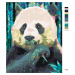 Maľovanie podľa čísel - FAREBNÁ PANDA Rámovanie: vypnuté plátno na rám, Rozmer: 40x50 cm
