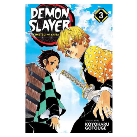 Viz Media Demon Slayer: Kimetsu no Yaiba 3