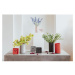 Svetloružová váza z betónu Fajen – Zuiver