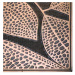 Sconto Rohožka LISTY 45x75 cm, vzor listov