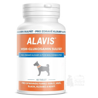 Alavis MSM+Glukosamín sulfát pre psov 60tbl nový