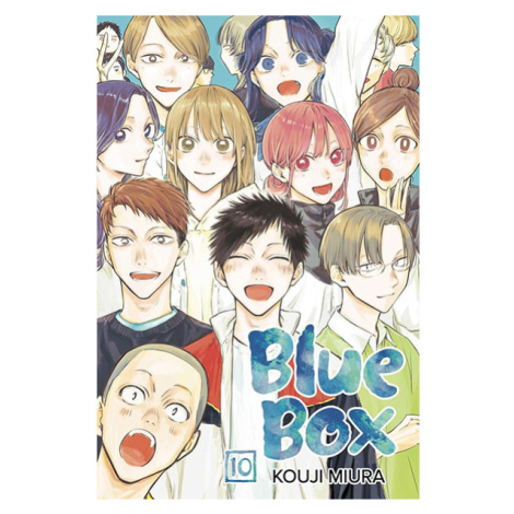 Viz Media Blue Box 10