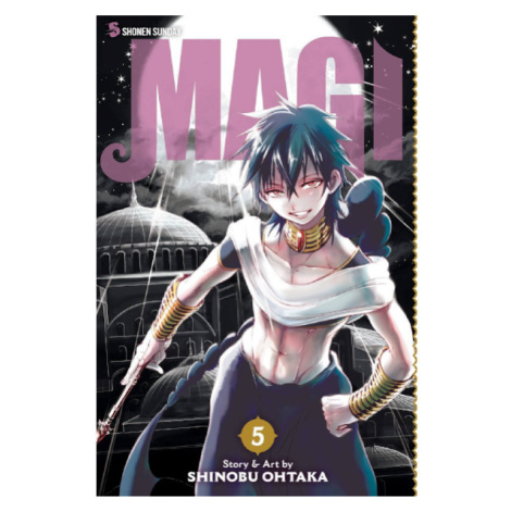 Viz Media Magi: The Labyrinth of Magic 05