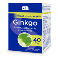 GS Ginkgo 40 mg 120 tabliet