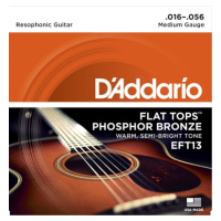 D'Addario EFT13