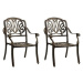 Záhradné stoličky 2 ks liaty hliník bronzové 315567