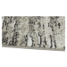 Kusový koberec Victoria 8005-944 - 160x230 cm B-line