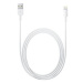 Apple Lightning to USB Cable (2m)