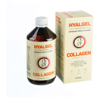 SILVITA HYALGEL COLLAGEN sirup s pomarančovou príchuťou 500 ml