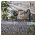 Kusový koberec Manor Daphne Blue/Multi – na ven i na doma - 120x170 cm Flair Rugs koberce