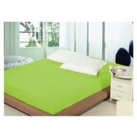 Svetlo zelené plachty na postele Zelená Zelená Šírka: 160 cm | Dĺžka: 200 cm