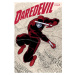 Marvel Daredevil by Mark Waid Omnibus 1 (New Printing)