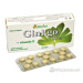 Naturica GINKGO 60 mg + vitamín E