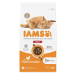 IAMS Cat Adult/Senior Indoor Chicken granule pre mačky 1 kus, Hmotnosť balenia (g): 10 kg