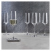 WINE & DINE Sada pohárov na šampanské 250 ml 6 ks