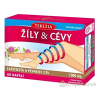 TEREZIA ŽILY & CIEVY 60 ks