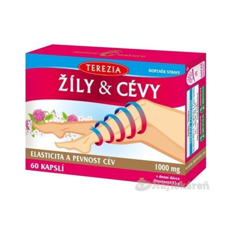 TEREZIA ŽILY & CIEVY 60 ks