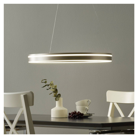 Paul Neuhaus Q-VITO závesné LED 59 cm oceľ Q-SMART-HOME