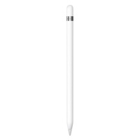 Apple Pencil (1st Generation) + USB-C adapter