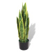 vidaXL Umelá rastlina, sansevieria s kvetináčom 65 cm, zelená