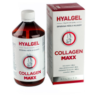 SILVITA HYALGEL COLLAGEN MAXX tekutý prípravok s pomarančovou príchuťou 500 ml