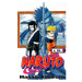 CREW Naruto 04 - Most hrdinů