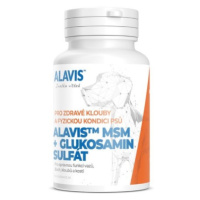 ALAVIS MSM + Glukozamín sulfát 60 tabliet