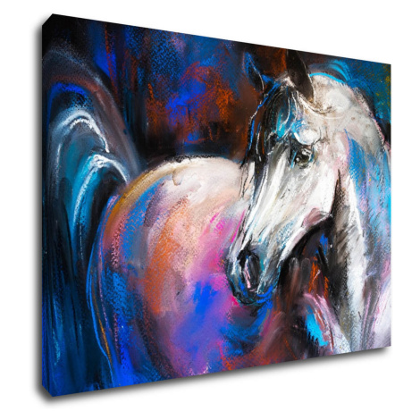 Impresi Obraz Farebný kôň - 70 x 50 cm