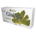 NATURICA GINKGO 60 mg + vitamín E 30 tabliet