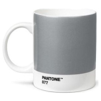 PANTONE – Silver 877 C, 375 ml