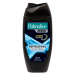 PALMOLIVE SG MEN BLUE Pure Arct. Refr. 250 ml