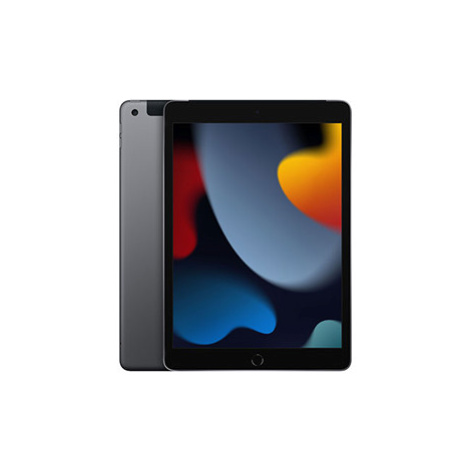 iPad Wi-Fi + Cellular 256GB Space Gray (2021)