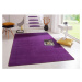 Tmavofialový koberec 160x240 cm Fancy – Hanse Home