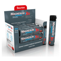 MAGNESIUM Chelate + B6 cherry 10 ks