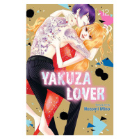 Viz Media Yakuza Lover 12