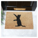 Rohožka z kokosového vlákna 40x60 cm Cat – Artsy Doormats